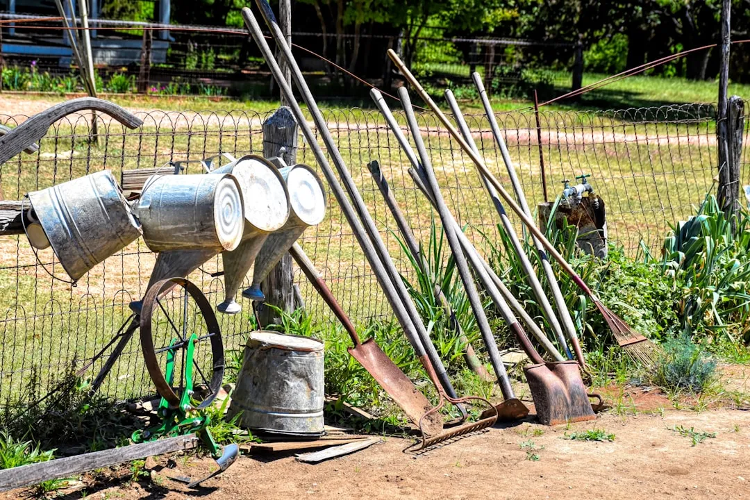 Why Old Tools Are Becoming Collectible (Image Credits: Unsplash)