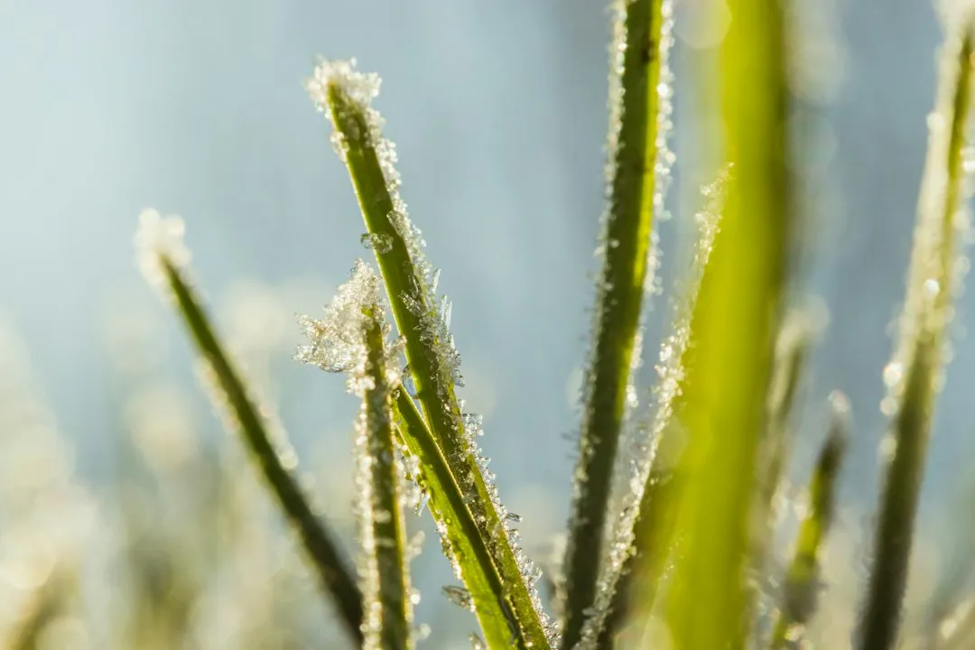Safer Ice Melt Alternatives That Won't Destroy Your Landscape (Image Credits: Unsplash)
