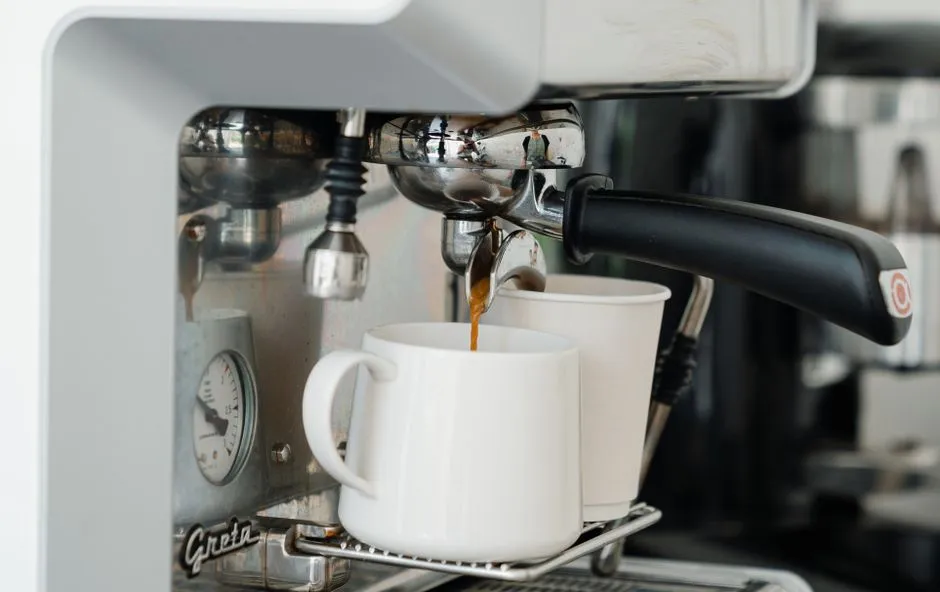 The Warm, Damp Environment Is the Real Culprit (Image Credits: Pexels)