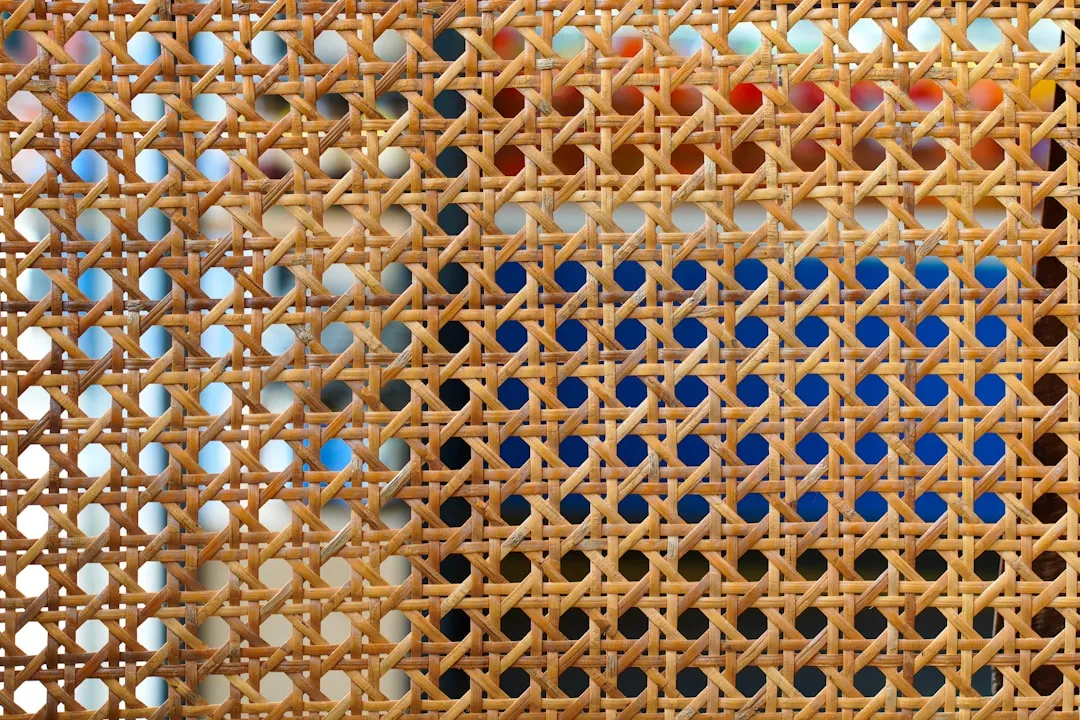 Rattan and Wicker Are Back From the Sunroom (Image Credits: Unsplash)
