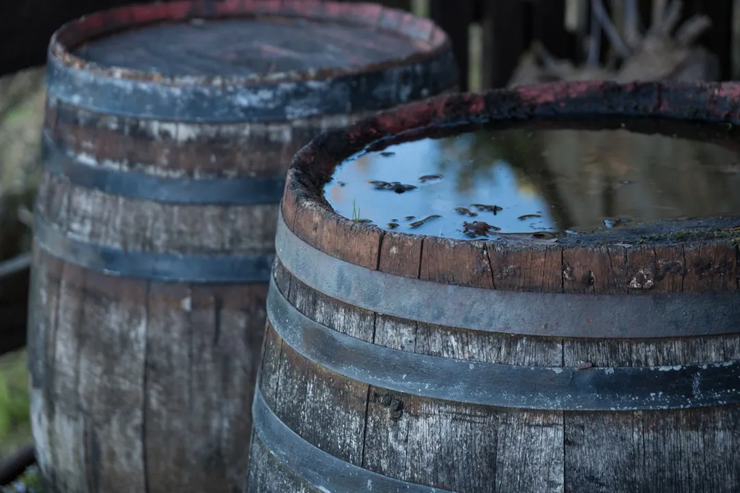 The Overflow Port Is a Hidden Entry Point (Image Credits: Unsplash)
