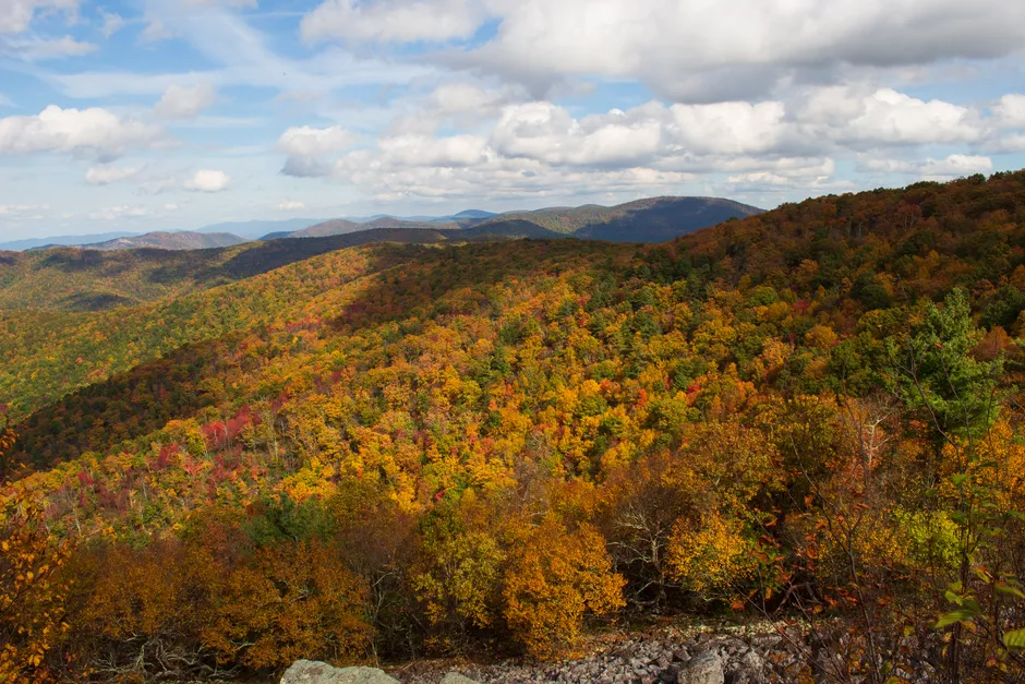 Trail 4: Stony Man Trail, Shenandoah National Park, Virginia (Image Credits: Pexels)