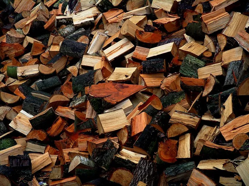 The Wood Itself Suffers, and So Does Your Fireplace (Ella's Dad, Flickr, CC BY 2.0)