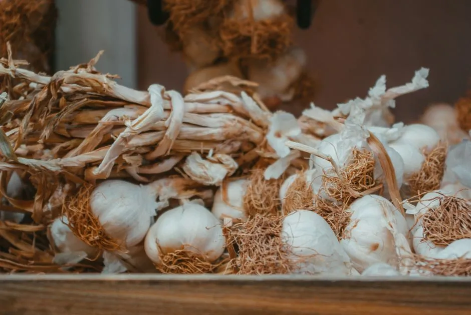 What Happens Underground in Fall and Winter (Image Credits: Pexels)