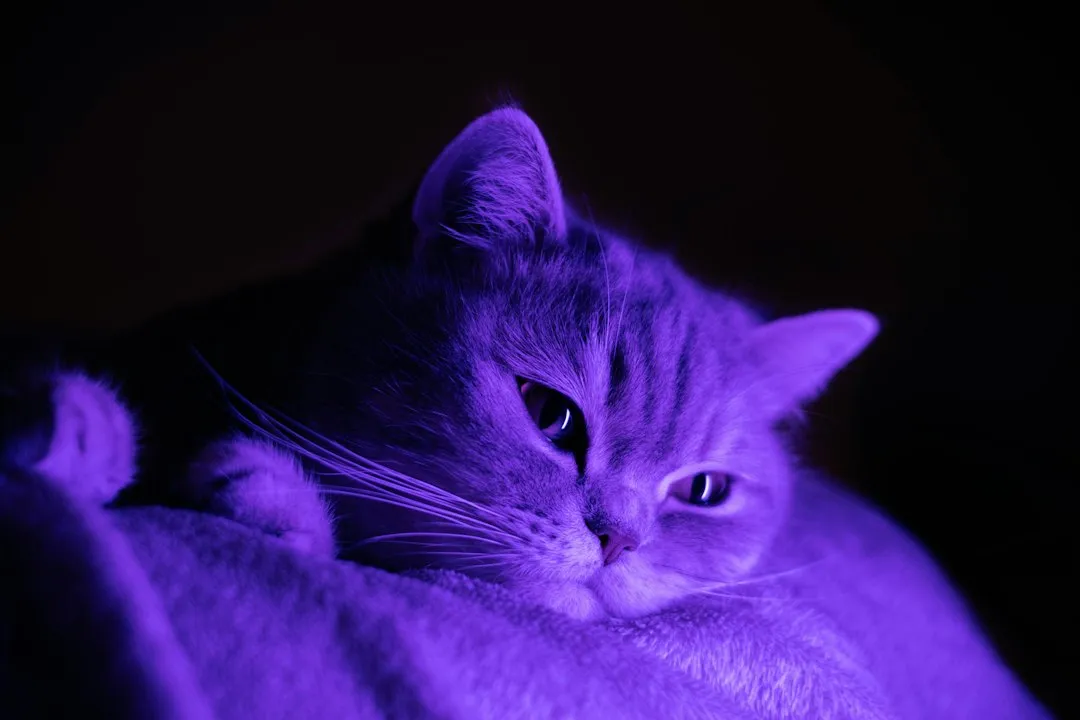 They Can See Ultraviolet Light (Image Credits: Unsplash)