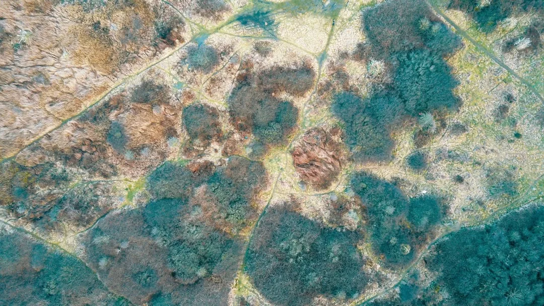 Know Which Pathogens Are Doing the Damage (Image Credits: Unsplash)