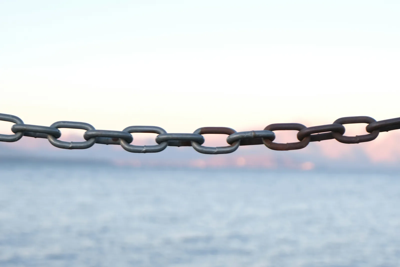 The Chain Message Hoax That Piggybacks on Real Fear (Image Credits: Unsplash)