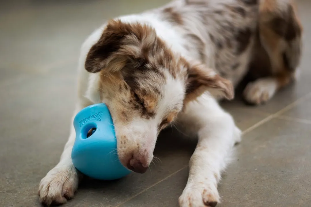 Complexity Matters: Not All Toys Are Equal (Image Credits: Unsplash)