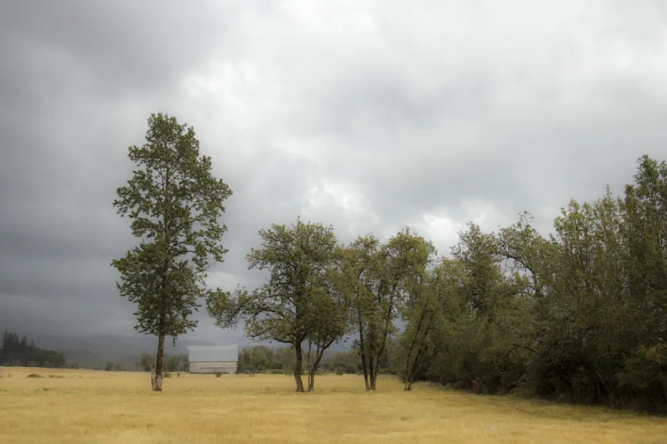 Record-Breaking Seasons Are Setting a New Normal (Image Credits: Stocksnap)