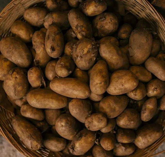 How Heirloom and Wild Varieties Raise the Stakes (Image Credits: Pexels)