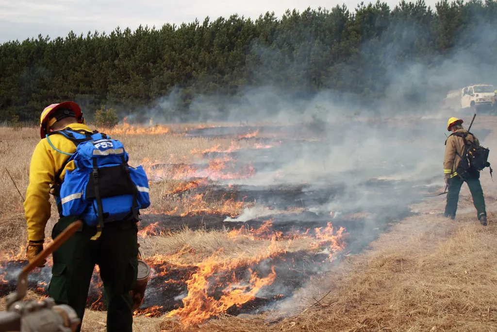 Conclusion: Fire as a Management Tool, Not Just a Threat (Image Credits: Flickr)