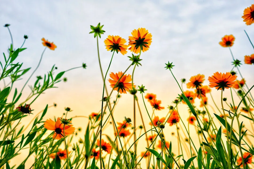 The Plants You Buy May Already Be Contaminated (Image Credits: Unsplash)