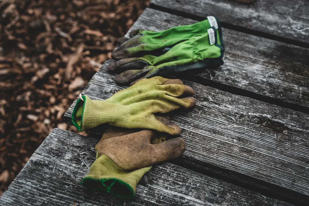 The Scale of Garden Tool Injuries Is Larger Than You'd Think (Image Credits: Unsplash)