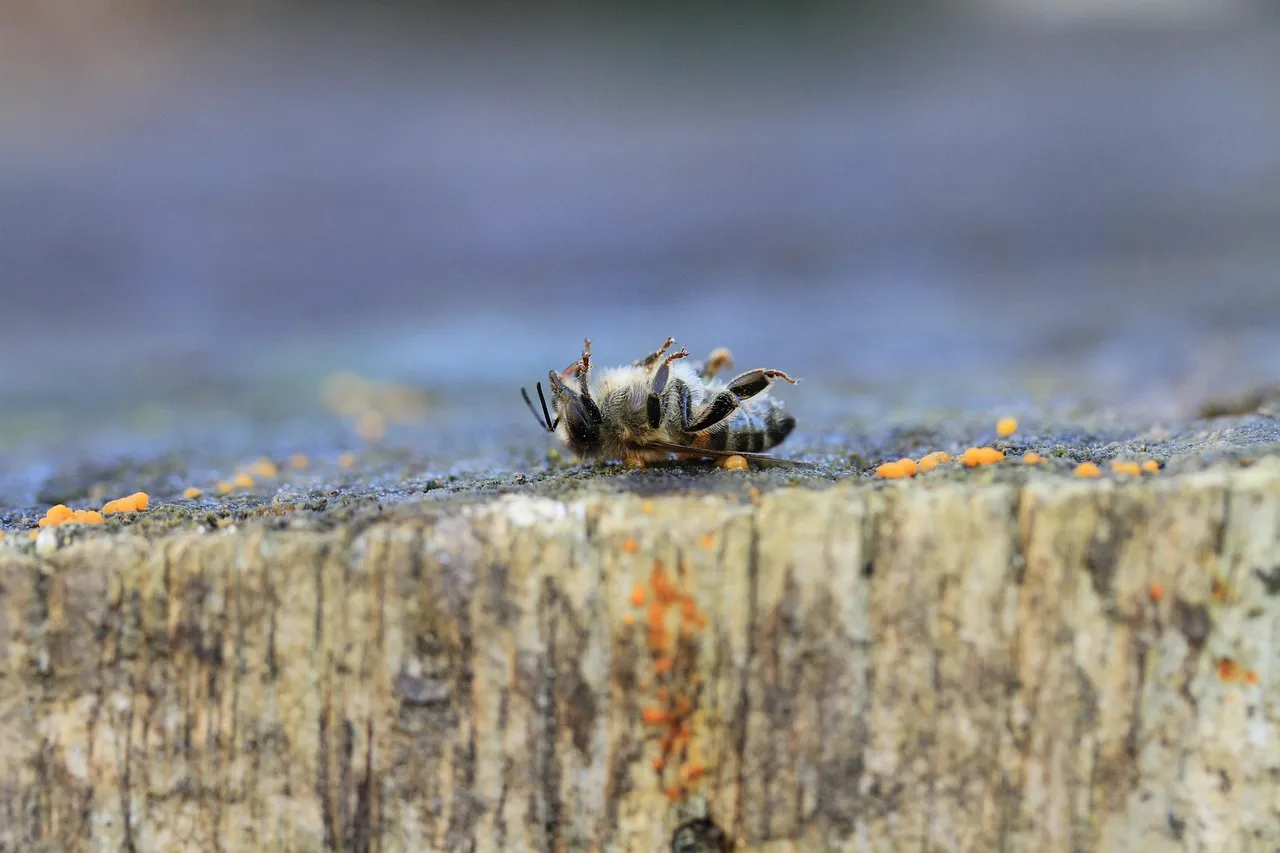 The Risk of Accidental Misuse (Image Credits: Pixabay)