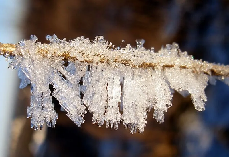 The Dew Point Rule That Farmers Swore By (Arenamontanus, Flickr, CC BY 2.0)