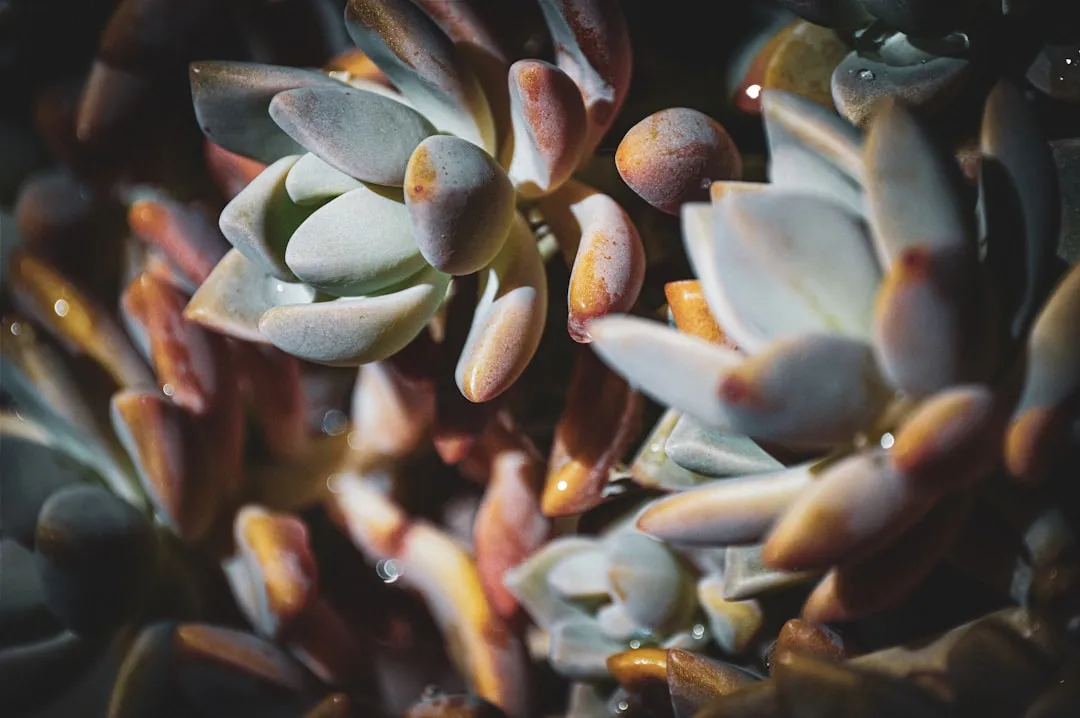 Underwatering Is Far Easier to Fix Than Overwatering (Image Credits: Unsplash)