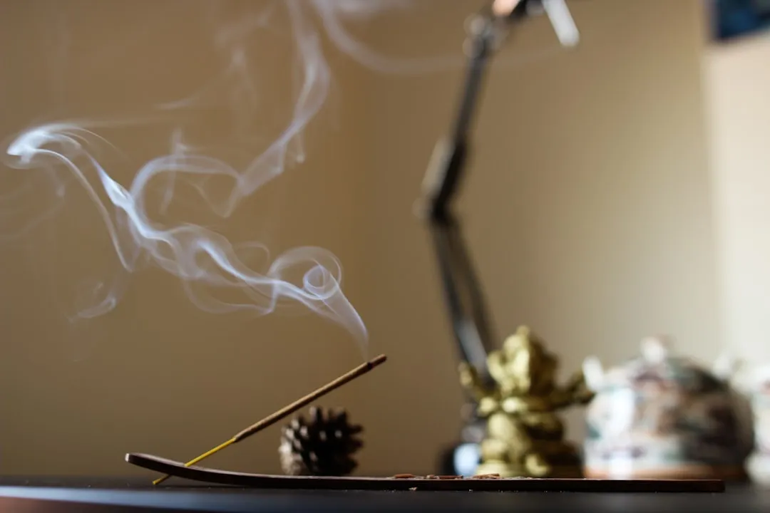 1. Incense Cedar (Calocedrus decurrens): The Mountain Brought Home (Image Credits: Unsplash)