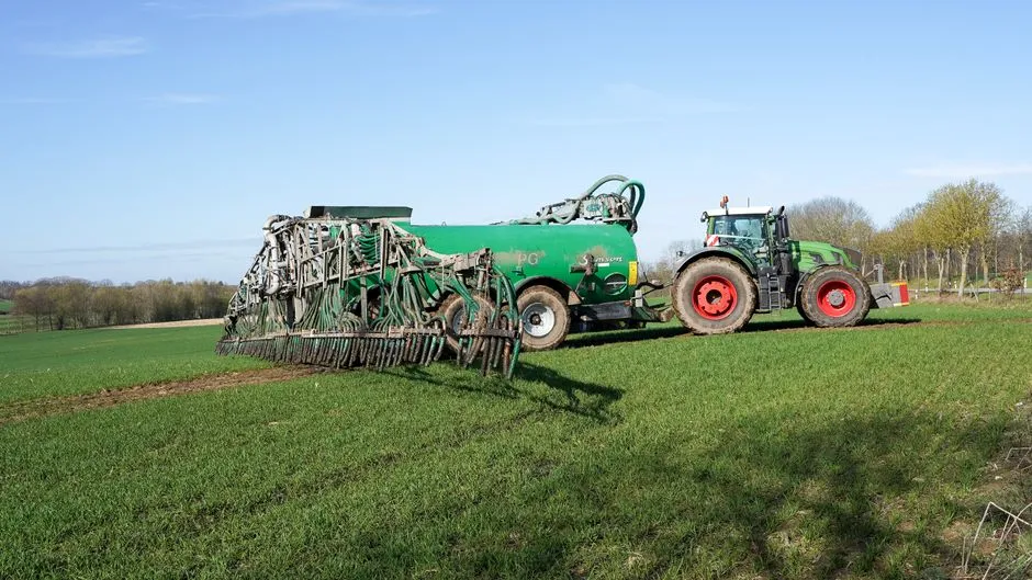 What Green Manure Actually Means (Image Credits: Pexels)