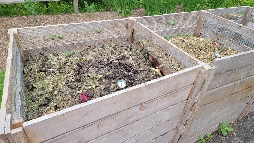 1. Your Compost Pile Must Get Hot to Work (Image Credits: Unsplash)
