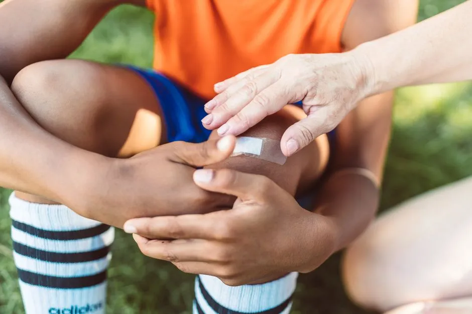 Healing Pruning Wounds and Stem Cuts (Image Credits: Pexels)
