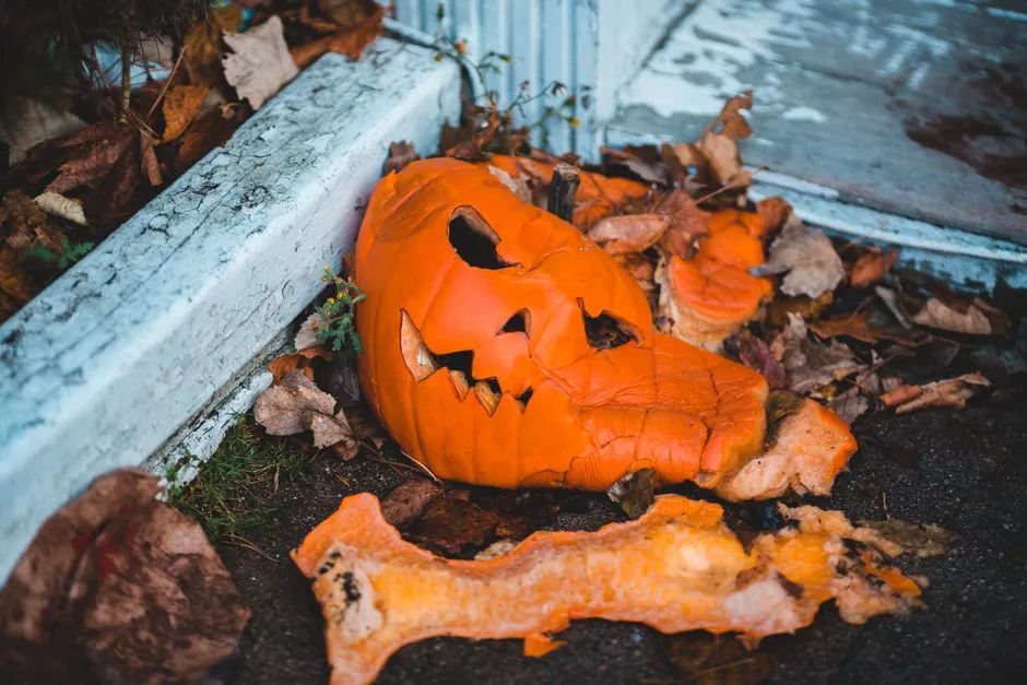 Why Pumpkins Rot So Fast After Carving (Image Credits: Pexels)