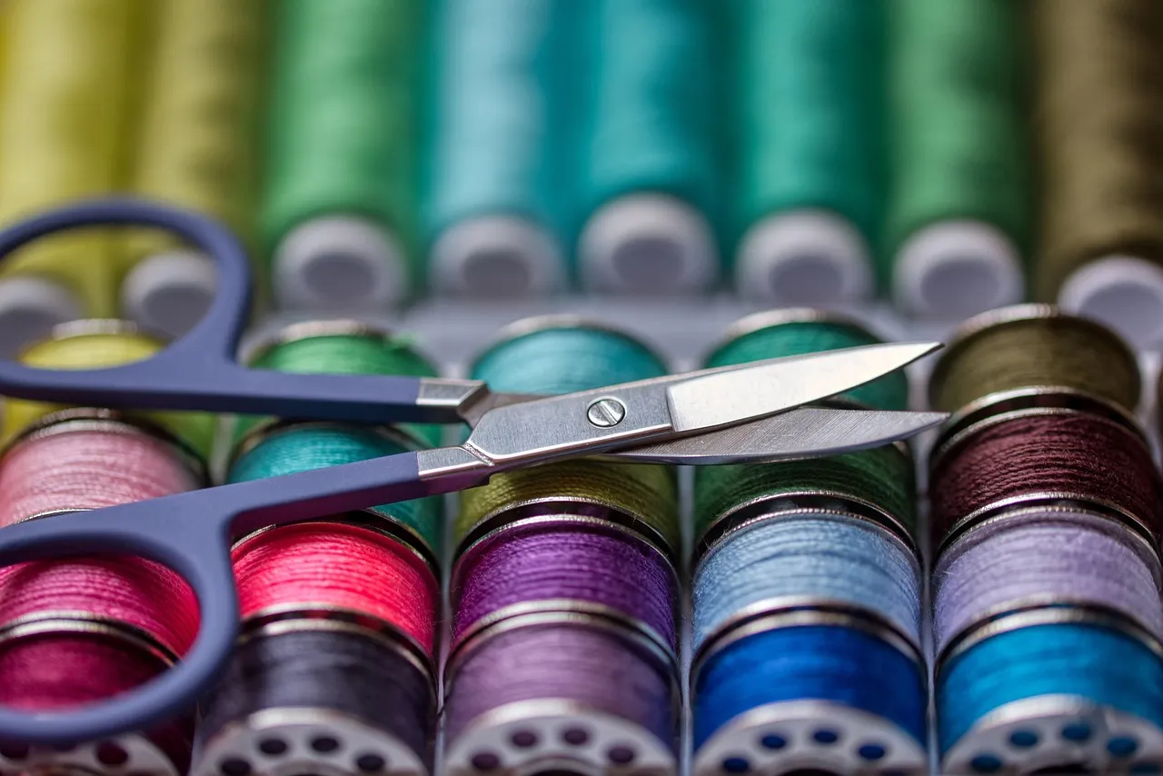 Backstitching: The Thirty-Second Step Most People Skip (Image Credits: Pixabay)