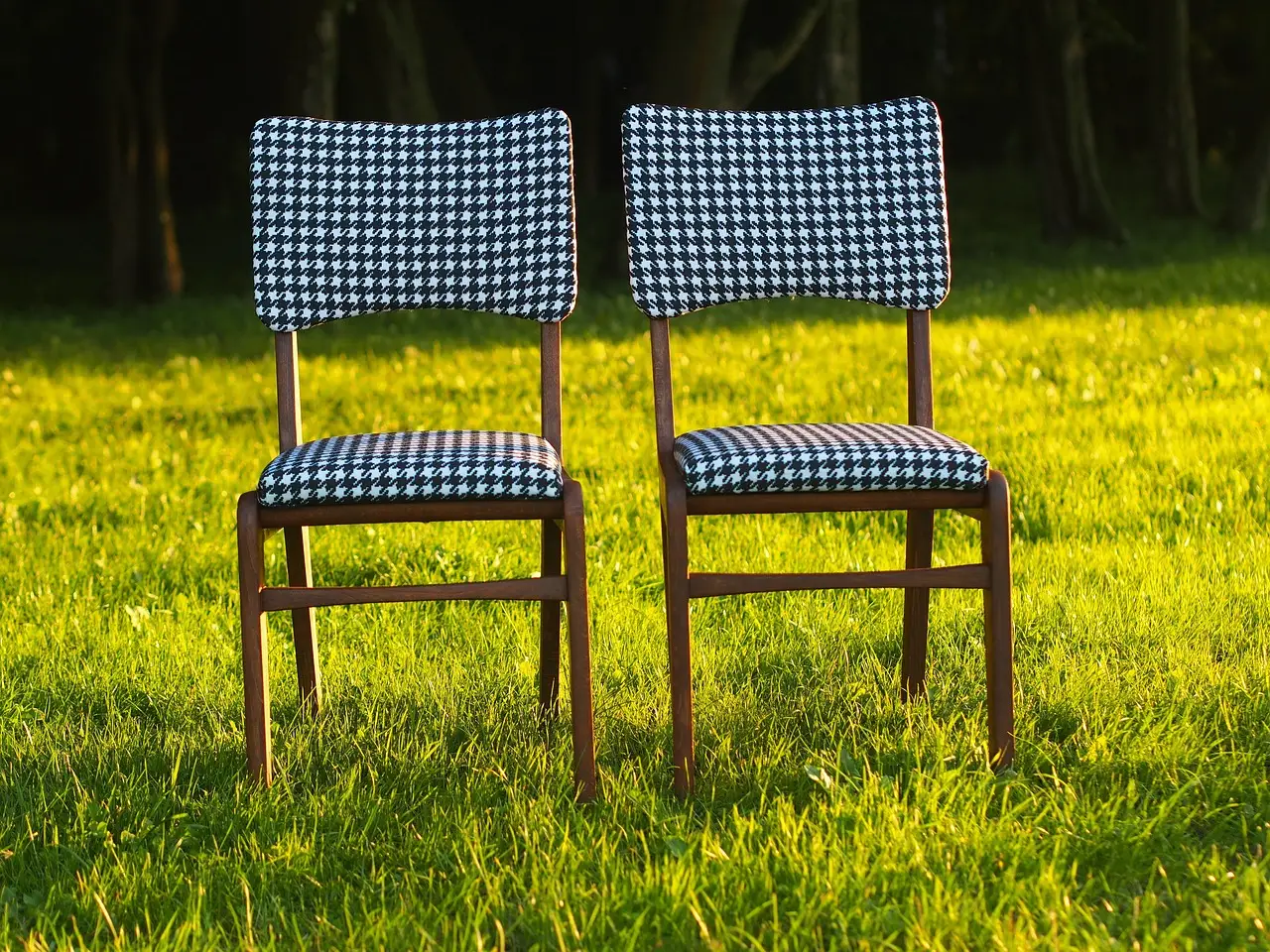 5. Upholstered Accent Chairs (Image Credits: Pixabay)