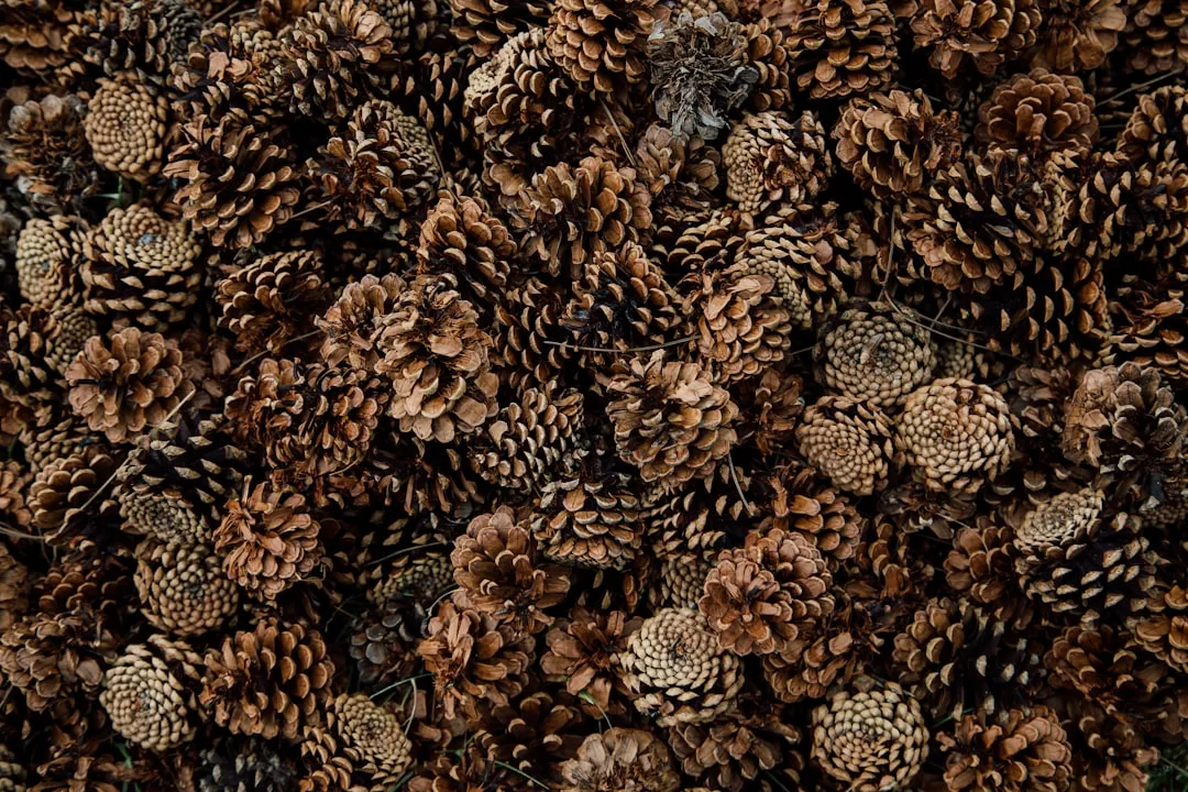 Use Prickly Textures and Physical Surface Barriers (Image Credits: Unsplash)