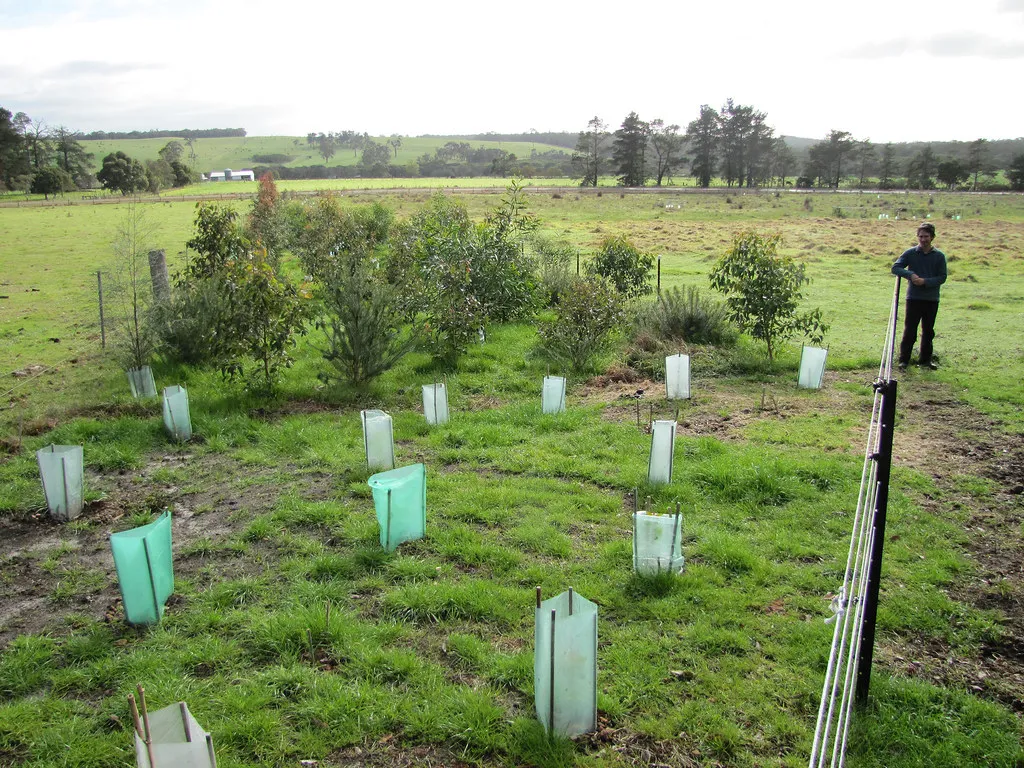Understanding the Protected Zone: Height and Distance (Red Moon Sanctuary, Flickr, CC BY 2.0)