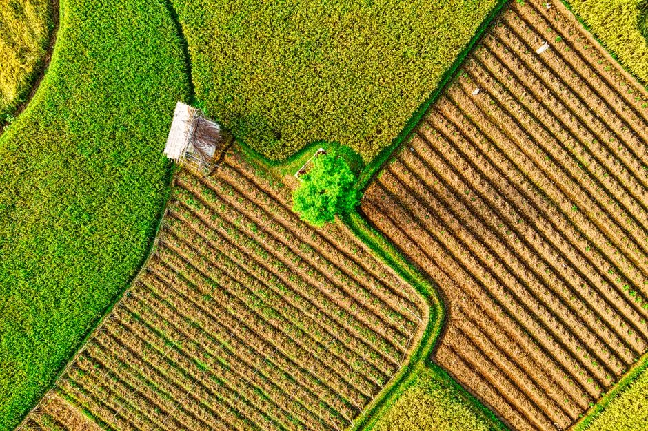 Adaptation Is Happening, Though Not Fast Enough for Everyone (Image Credits: Pexels)