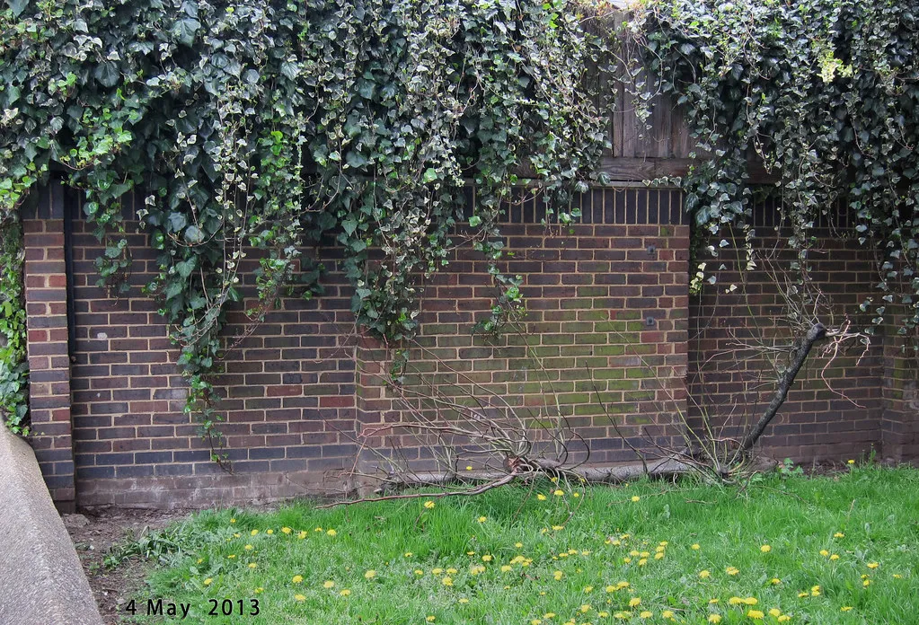 Gutters, Rooflines, and Hidden Damage (Alan Stanton, Flickr, CC BY-SA 2.0)