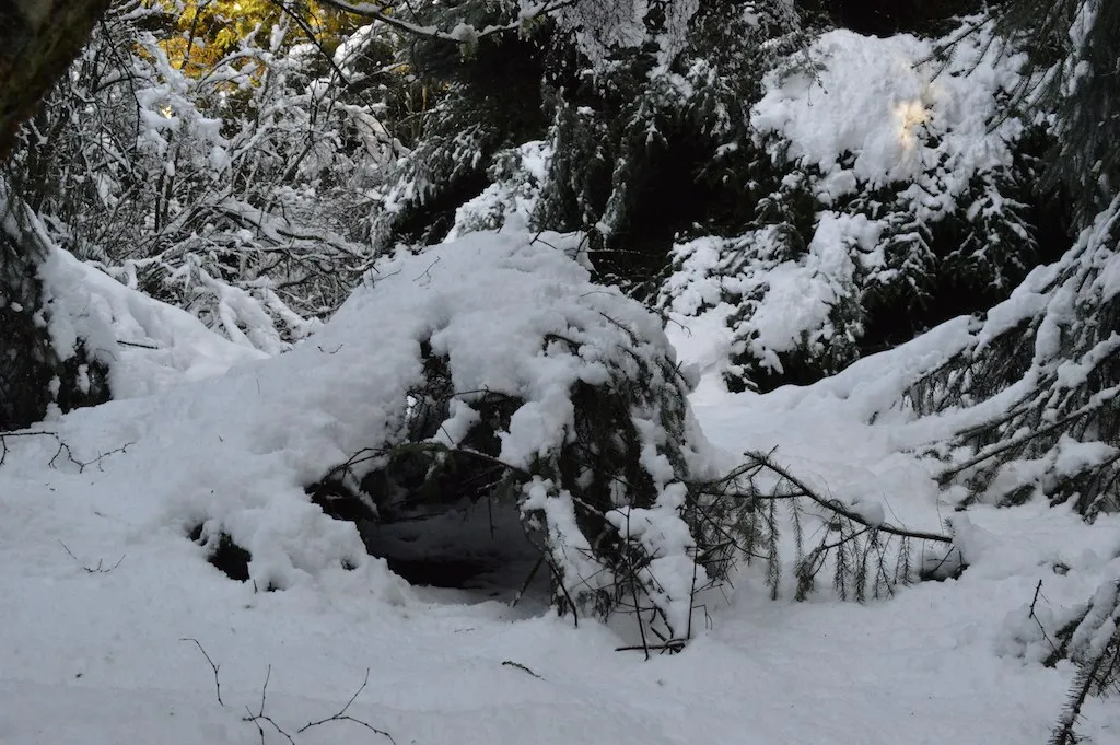 What "Snow Farming" Actually Looks Like (Sarah Rychtarova Artist, Flickr, CC BY-SA 2.0)