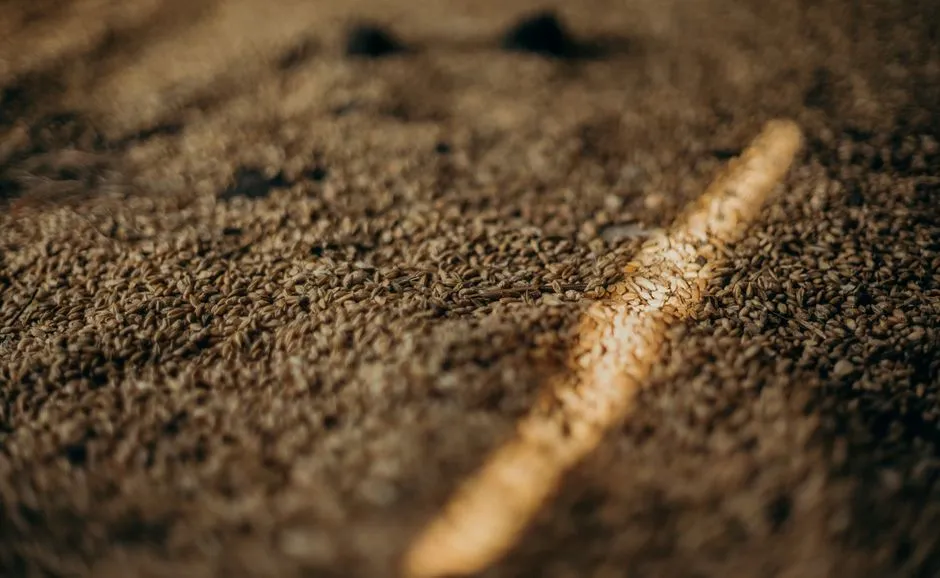 Each Percentage Point of Moisture Makes a Real Difference (Image Credits: Pexels)