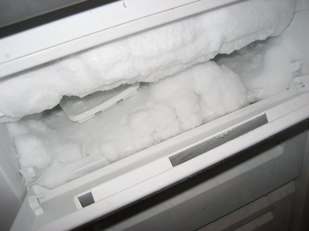 What Freezer Burn Actually Is (Bennett 4 Senate, Flickr, CC BY-SA 2.0)