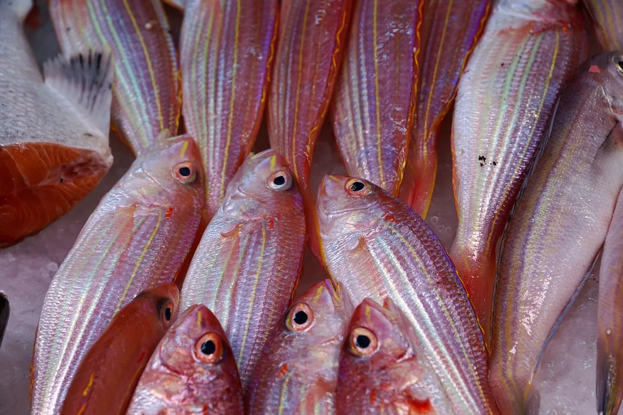 3. Fatty Fish: The Omega-3 Source Most People Undereat (Image Credits: Pixabay)