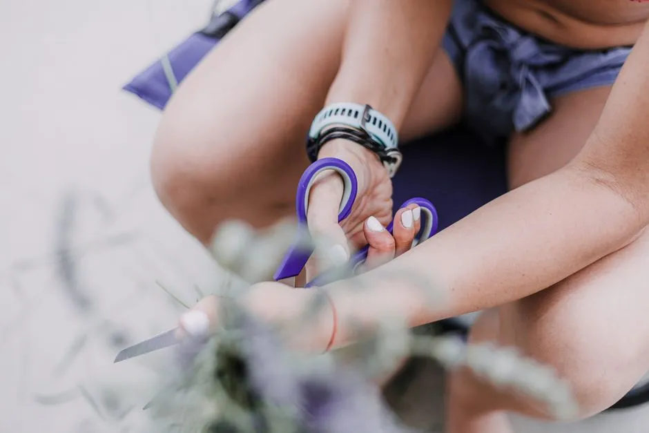 The Takeaway (Image Credits: Pexels)