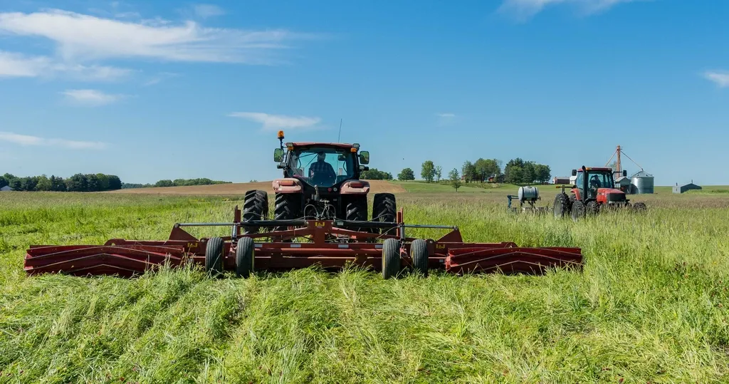 Weed Suppression Without Chemicals (Image Credits: Rawpixel)