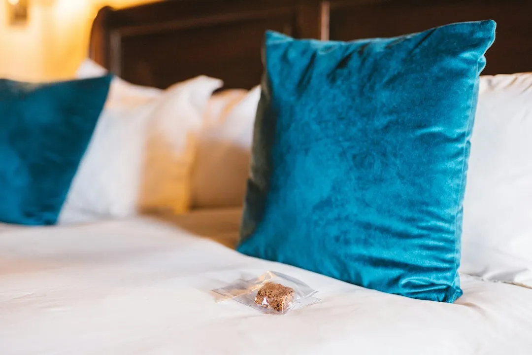 After You Bring It Home, the Work Isn't Done (Image Credits: Unsplash)