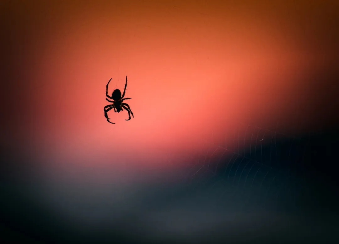 Mating Season, Not Cold, Drives the Autumn Surge (Image Credits: Unsplash)