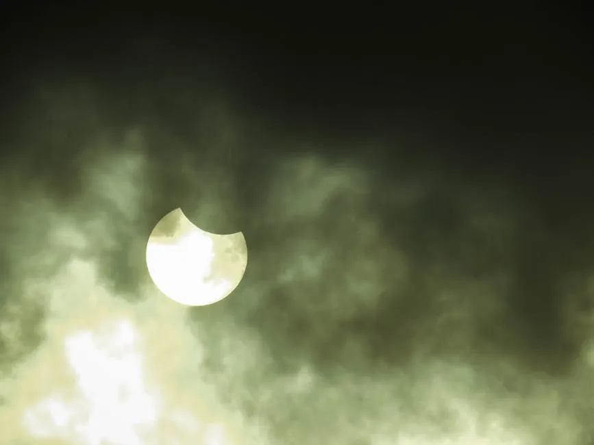 Understanding Full Sun, Partial Sun, and Shade Zones (Image Credits: Pexels)