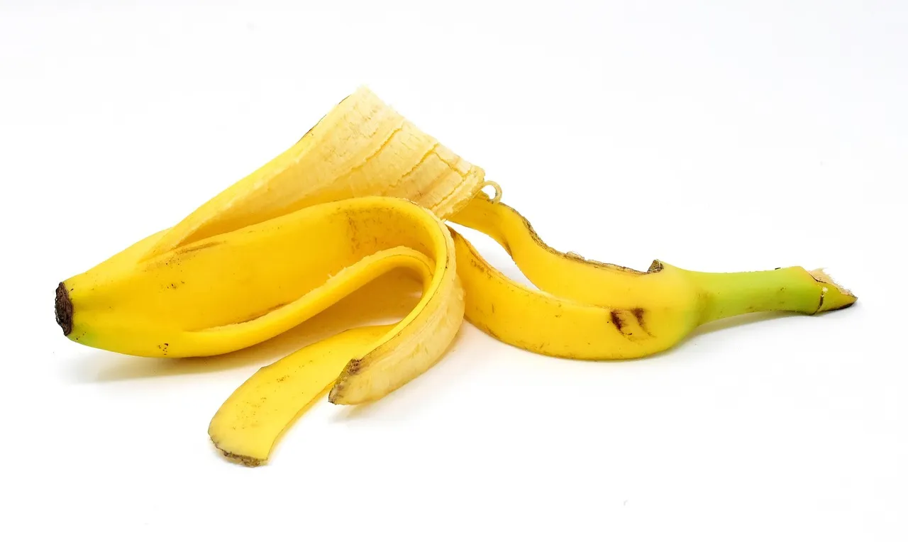 Biogas and Energy Recovery From Peels (Image Credits: Pixabay)