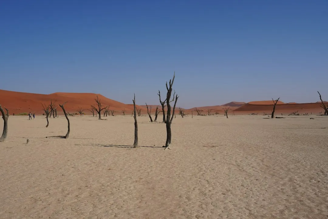 The Climate Change Factor (Image Credits: Unsplash)