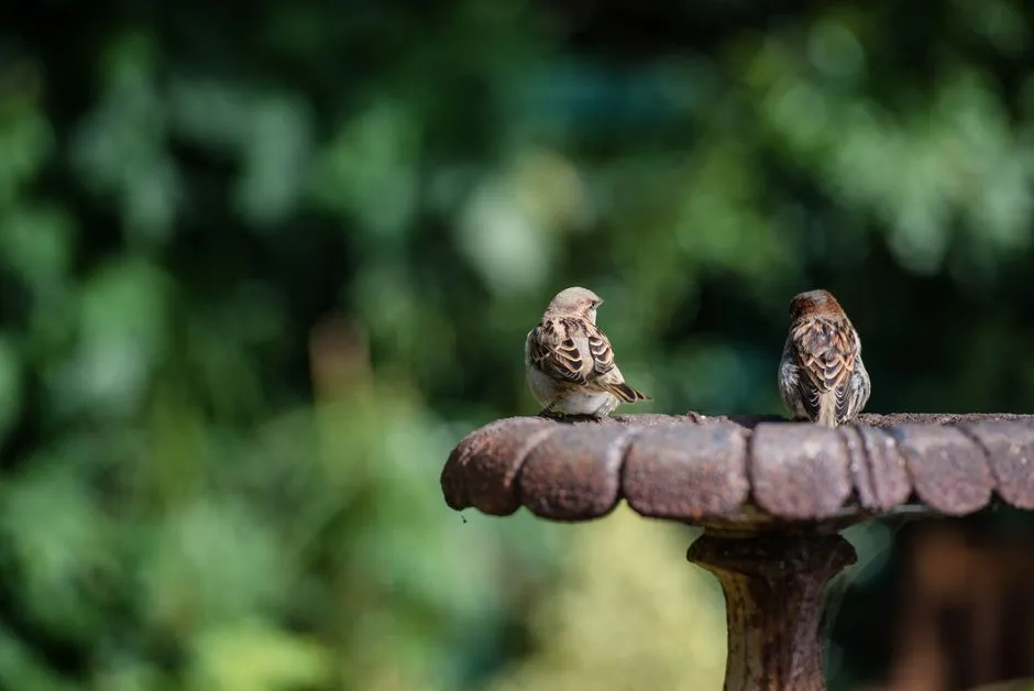 The Takeaway (Image Credits: Pexels)