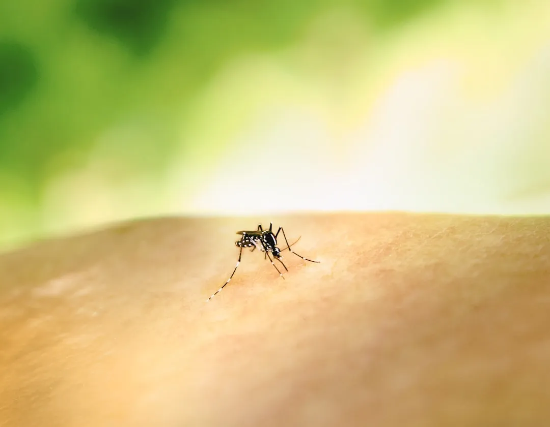 Insects Multiply and Draw Even More Wildlife (Image Credits: Unsplash)