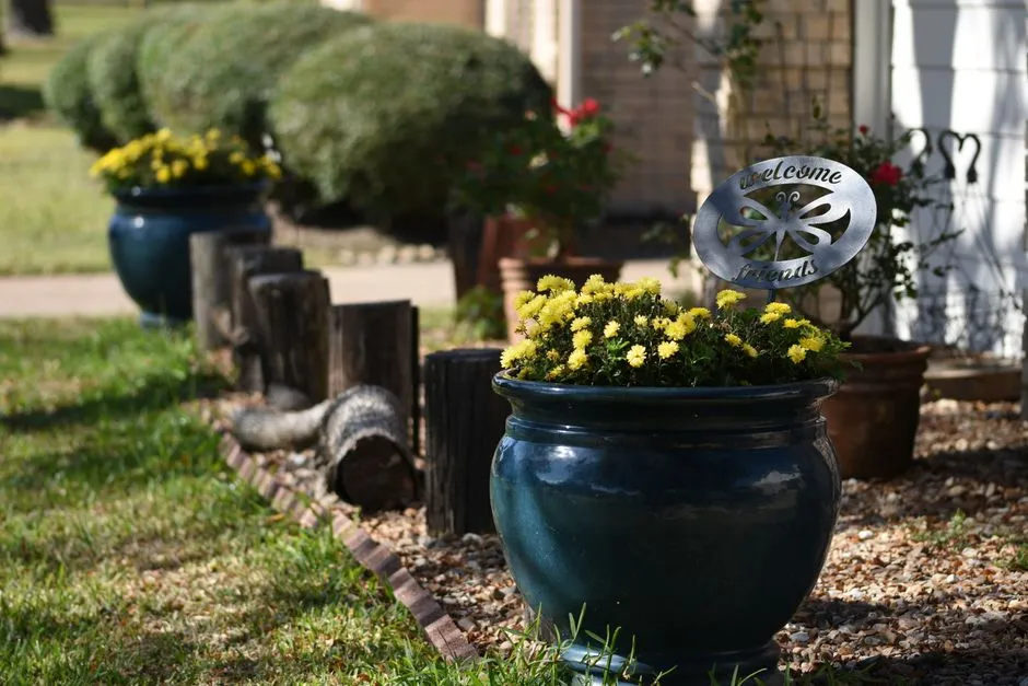 Folk Art Credentials Are Everything (Image Credits: Pexels)