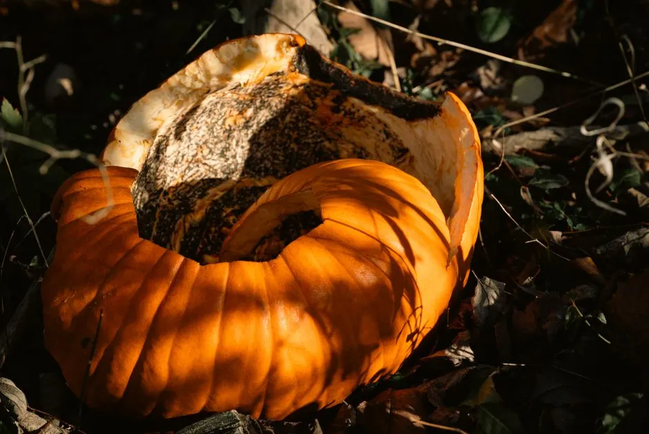 How Quickly Things Fall Apart (Image Credits: Pexels)