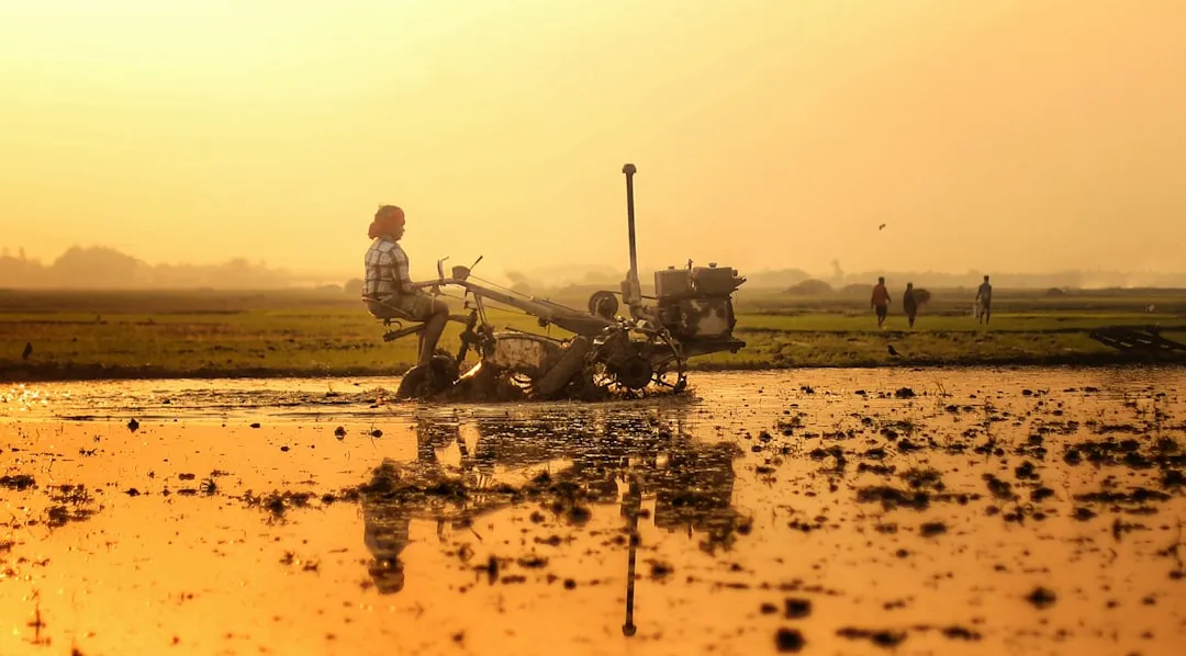 Other Causes Beyond Soil pH (Image Credits: Unsplash)