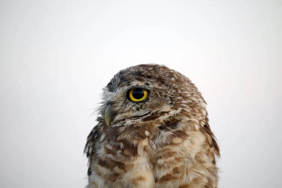 A Hunting Advantage Like No Other (Image Credits: Pexels)