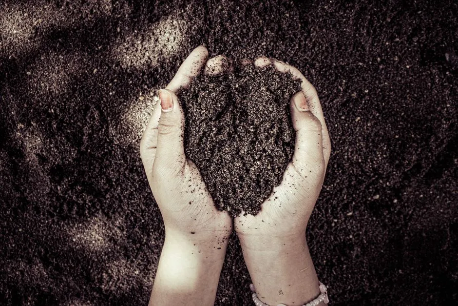 Know the Limits, and Don't Treat Sand as a Cure-All (Image Credits: Pexels)