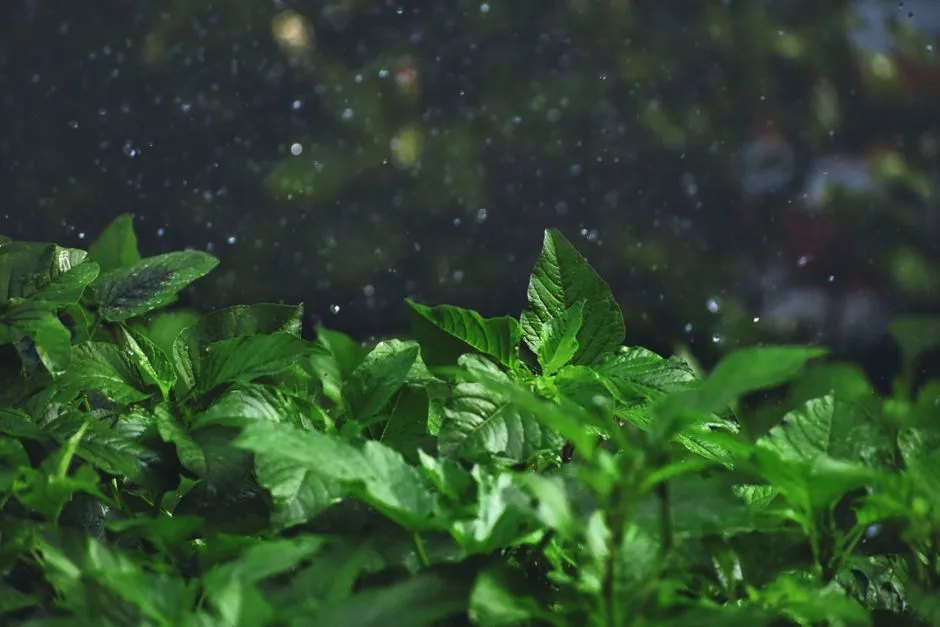 The Environmental Angle Is Bigger Than It Looks (Image Credits: Pexels)